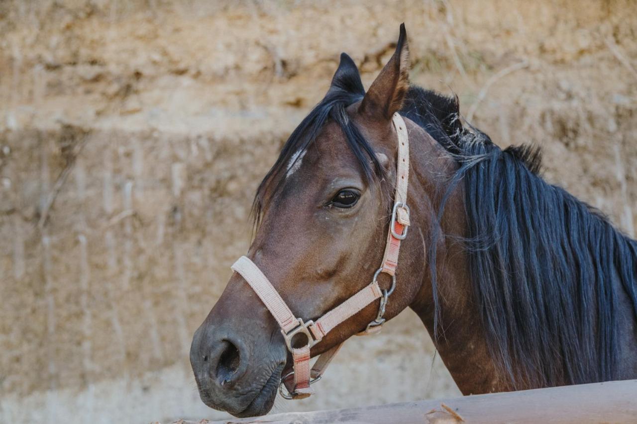 Leano Agriresort Piazza Armerina Dış mekan fotoğraf
