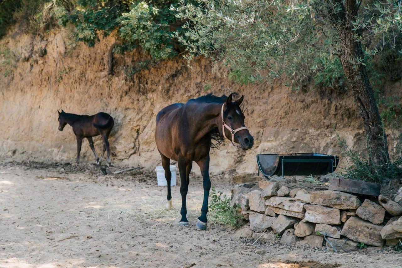 Leano Agriresort Piazza Armerina Dış mekan fotoğraf