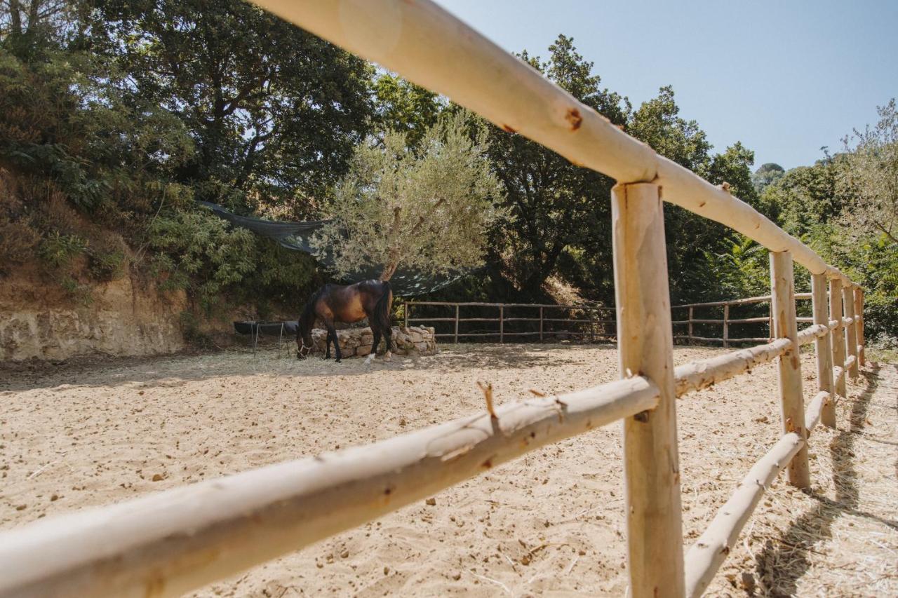 Leano Agriresort Piazza Armerina Dış mekan fotoğraf