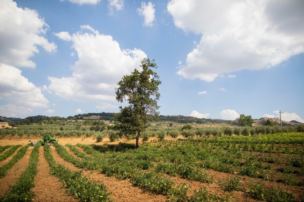 Leano Agriresort Piazza Armerina Dış mekan fotoğraf