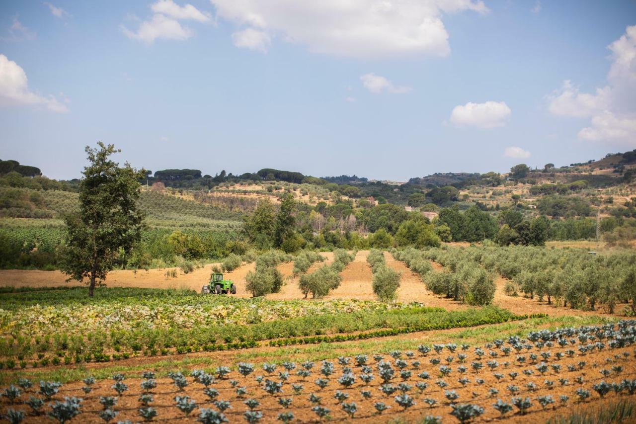 Leano Agriresort Piazza Armerina Dış mekan fotoğraf
